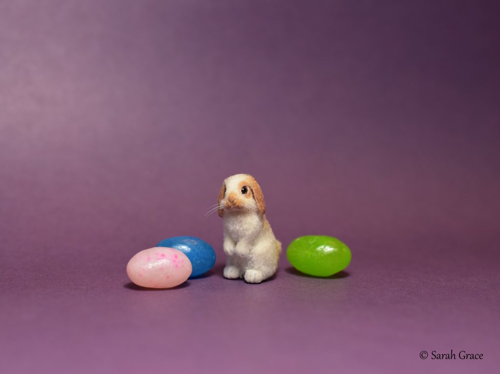 Adorable 1:12 scale miniature Holland Lop rabbit sculpture with flopped ears and soft, realistic fur by Sarah Grace